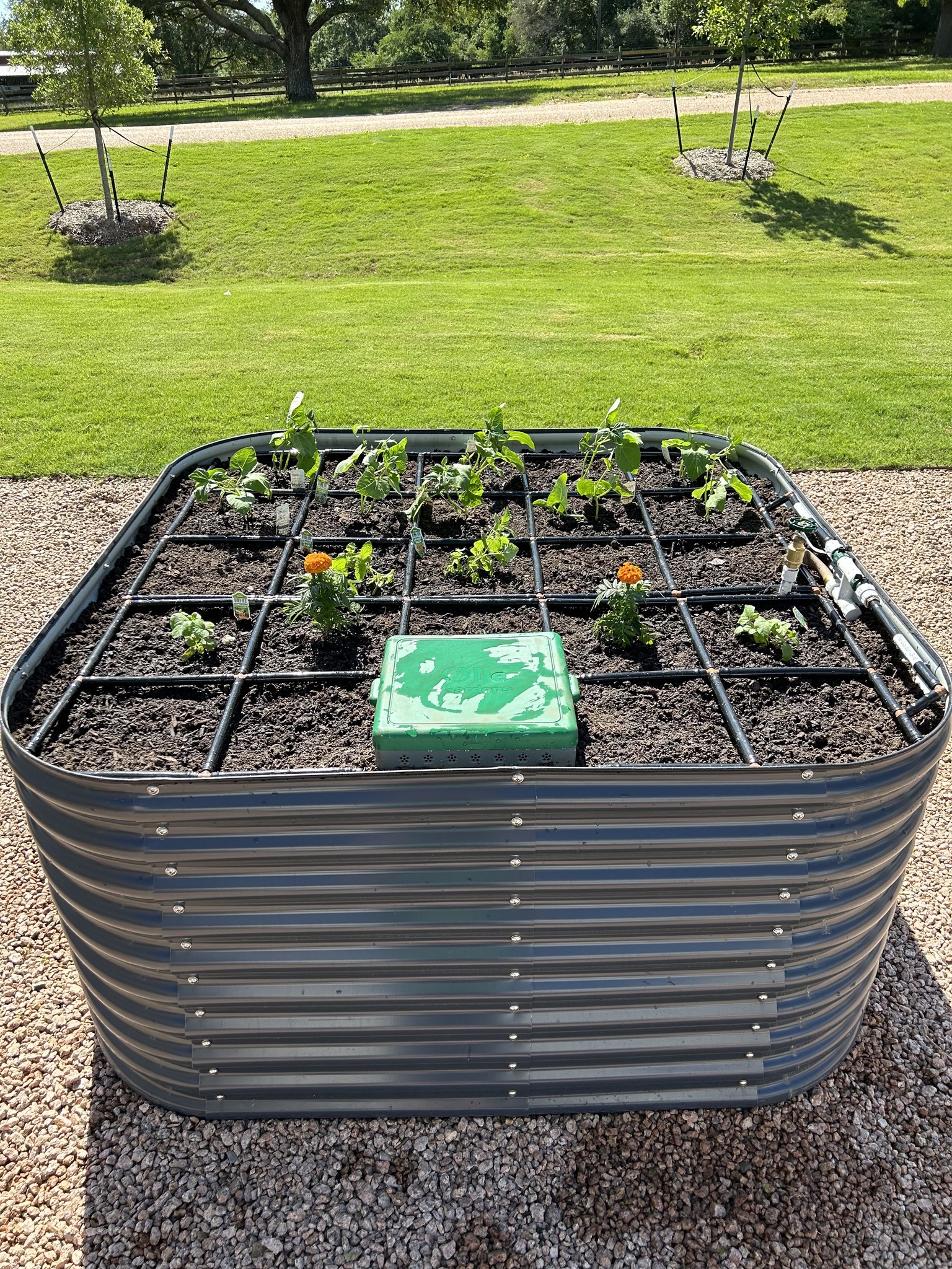 A7FC93BD-14BC-4352-BB47-049CE2D24C45_1_102_o